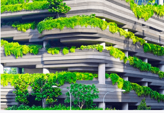 balcon rempli de verdure