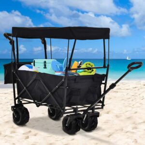 chariot de plage