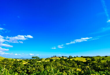 découvrez les différences essentielles entre caffè latte, cappuccino et macchiato, et apprenez à préparer ces recettes lactées traditionnelles pour déguster le café parfait.